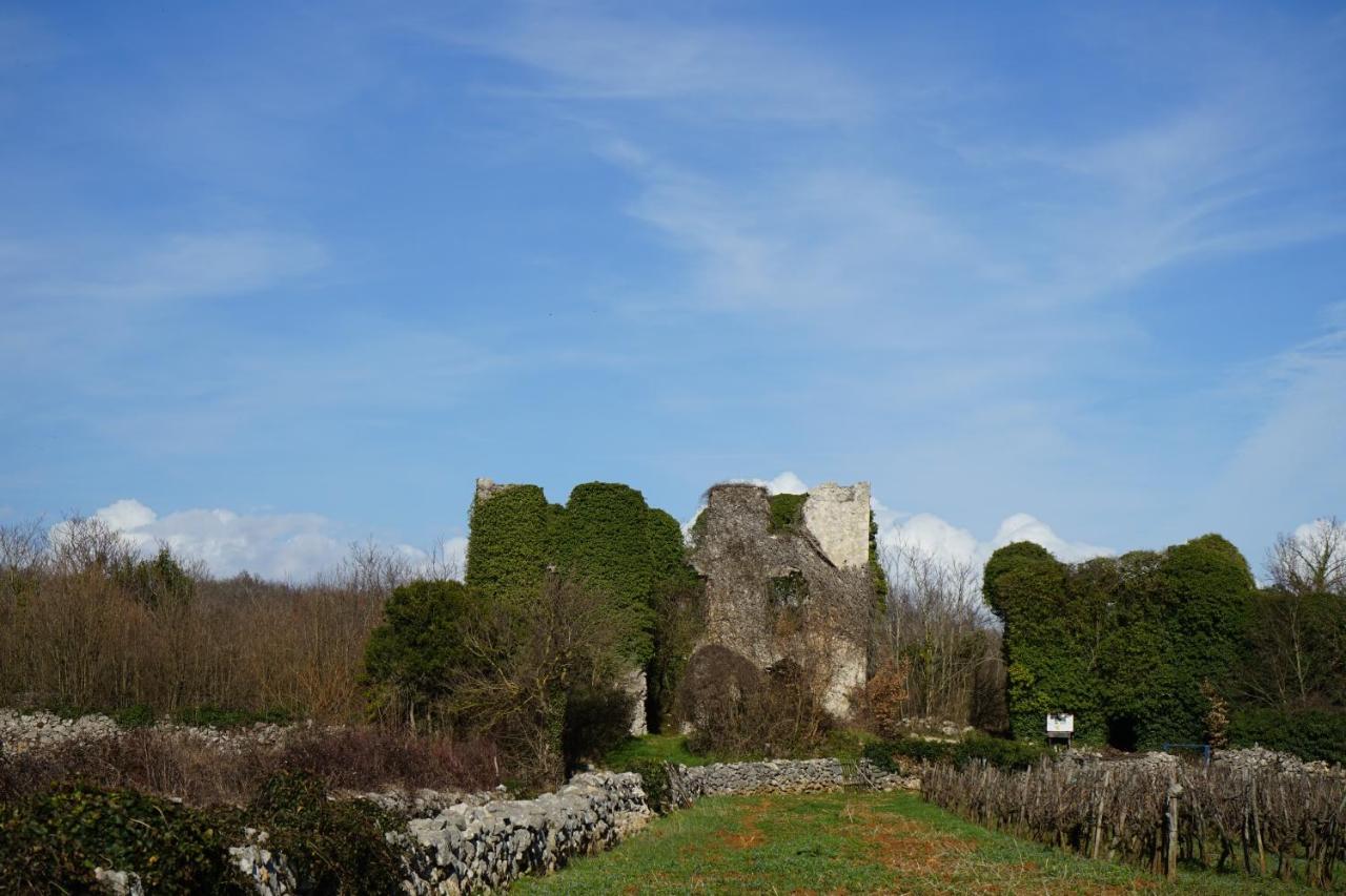 Villa Diny With Pool Pinezići Kültér fotó